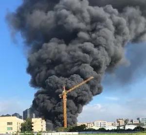 微信图片_20200729081950