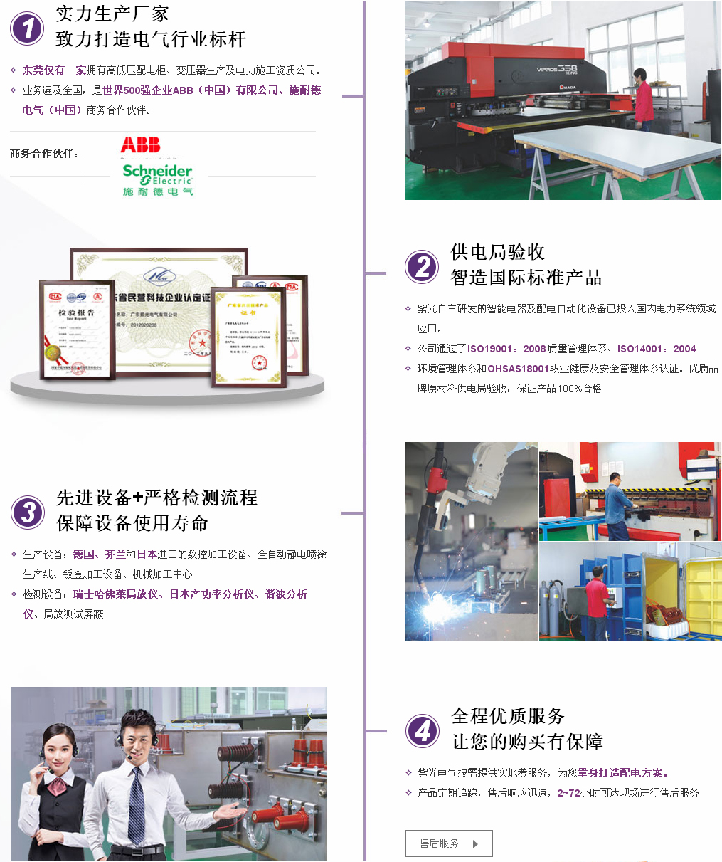 紫光电气企业优势