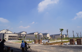 横沥职教城配电工程现场